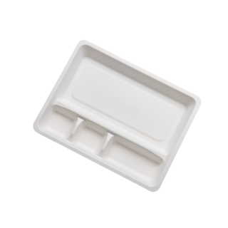 Procedure Tray Bagasse...