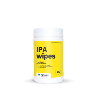 IPA Surface Reynard...