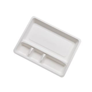 Procedure Tray Bagasse...